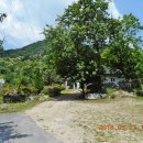 황룡뿌리(흑염소농장) 이미지