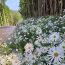 소리공원 이미지