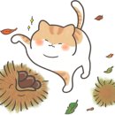 편하개 놀다가냥 이미지