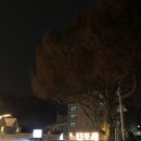 느티포레 이미지