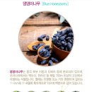 (주)삼양제넥스 이미지
