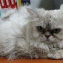 수원호매실 휴먼시아 8단지 이미지