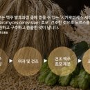 새마을유통 이미지