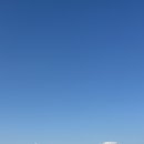 카르폰