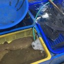 삼호상회 이미지