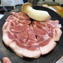 오늘도꿉자 - 포항시 남구 냉천로236번길 51 | 오늘도꿉자