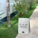 원앤온니에이엠씨 | 보홀 우베코 솔직후기 선물샵까지, 팡라오 네일샵 망고네일 예약 및 가격