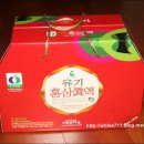 참든마을법인주