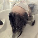 프리티헤어샵 네이버블로그