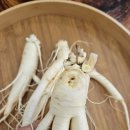 인삼약초로 | 금산인삼 신선유통 명절선물로 준비한 부모님선물 신선삼 솔직 후기