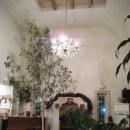 전원카페 이미지