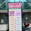 소백산철쭉 다리안계곡(천동)-비로봉-어의곡탐방지원센터코스 무료셔틀버스 후기