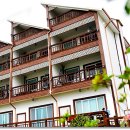 까치와 산토리나 이미지