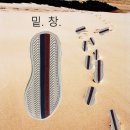 남성크로커다일평화점 | 라코스테신발 유로파 TCL 구매후기