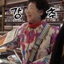 270-5058 | [공지] 82세 선우용여 강남 신세계 장보기 추천템 13가지 (+유튜브 속 찐 사용 제품 총정리)