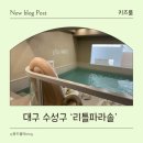 리틀파라솔 이미지