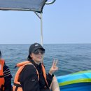 돌고래약국 | 스리랑카 8일차 참치잡이 배를 타다 ft.돌고래