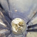 천평낚시터 이미지