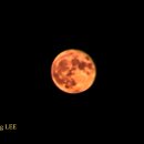 문(MOON) - 논산시 | 문(MOON)