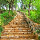 절골체육공원 이미지