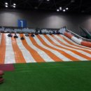 용인대백호태권도 이미지