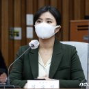 '달님은 영창으로' 김소연 "서울 서초갑 국회의원 도전" 이미지