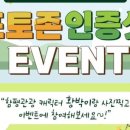 나비그네