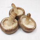 다올농장 이미지