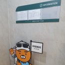 베스트 오브 벨리 이미지