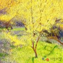 Spring Shower