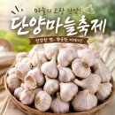 풍년농산물 | 2026 단양 마늘축제 후기, 단양 햇마늘 직거래 장터 현장 분위기