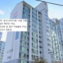 장안51 티스토리