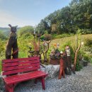 일루와농장 이미지