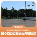 문수롤러스케이트장 이미지