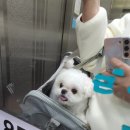 케이디샵