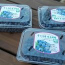 문수농장 이미지