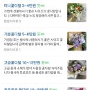 쁘렝땅플레르 이미지