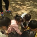 옥성초등학교병설유치원 이미지