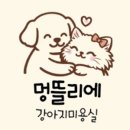 멍뜰리에 이미지