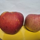 김정우 농장 이미지