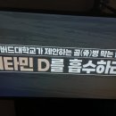 하버드대가 제안하는 골병 막는법 비타민D,존스홉킨스대 칼슘,인 이미지