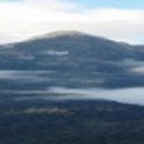 금촌녹십자약국 이미지