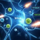 우보한의원 - 중구 명덕로 193 | 우보한의원