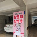 샬롯의 탕후루 (제로슈가, 무설탕 탕후루) 솔직후기! 화곡동 탕후루맛집
