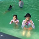 안악해수욕장 화장실 이미지