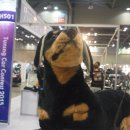 아기곰맘마 이미지