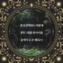 별빛사이 이미지