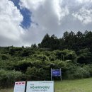 용암길 | 제주 용암길 거문오름 한정 트레킹 나 혼자 다녀온 후기