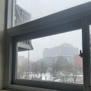 구성그린주유소 | [충남 당진] 아잘리아그린- 명당 F9번 사이트에서 크리스마스 캠핑🎄(2024년 12월 21~22일, 65번째 캠핑)