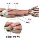 첨단제일의원 이미지